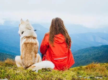 Villa Rubicon Loučná pod Klínovcem