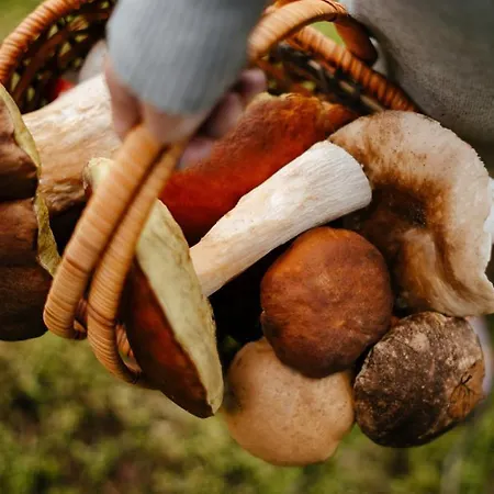 Rubicon * Loučná pod Klínovcem