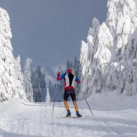 Rubicon Villa Loučná pod Klínovcem