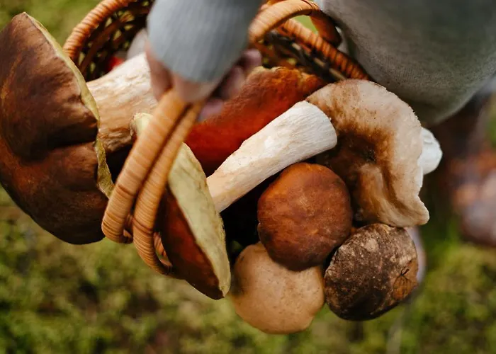 Rubicon * Loučná pod Klínovcem