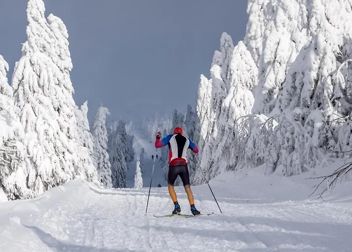 Rubicon Villa Loučná pod Klínovcem